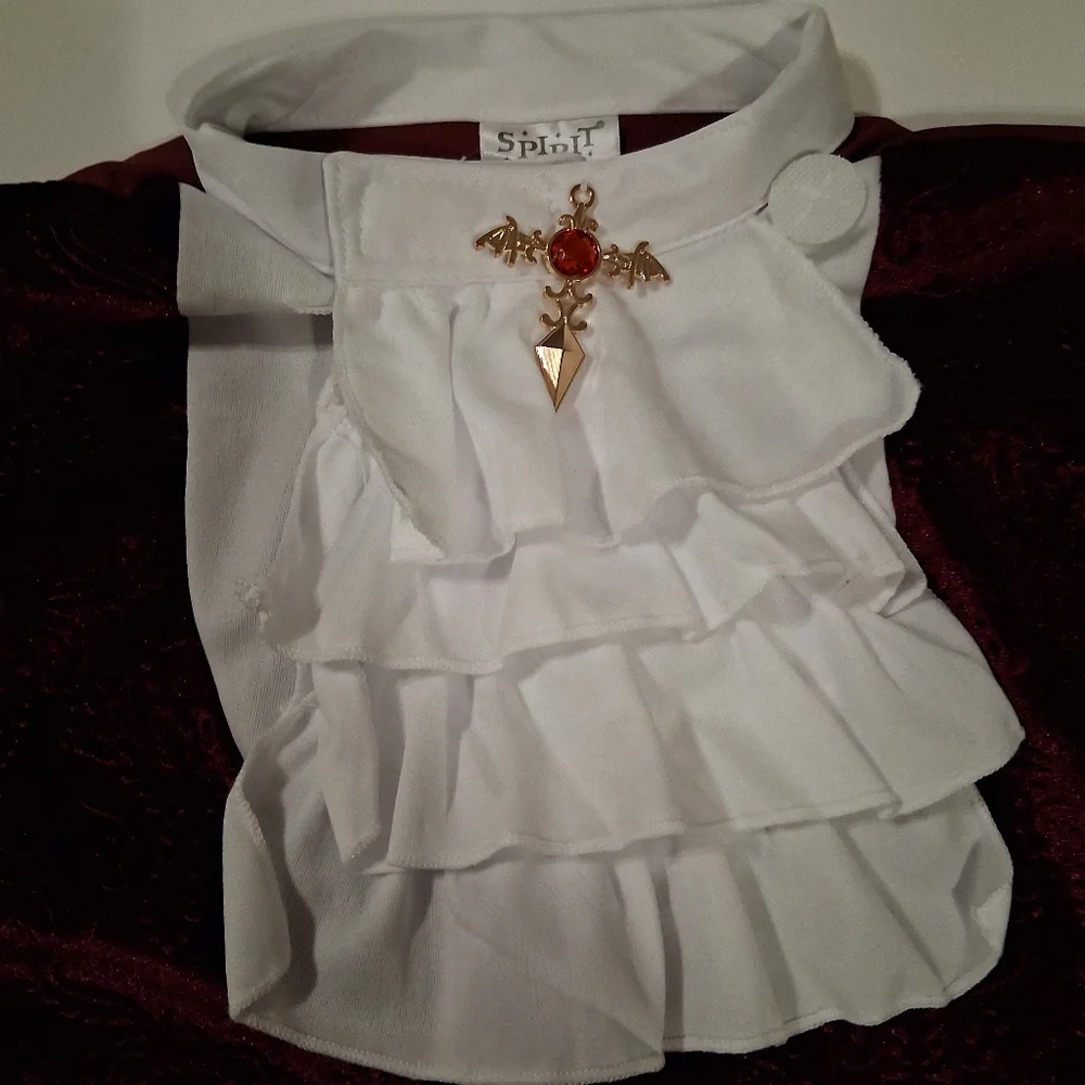 Spirit Child Medium 8-10 Deluke Vampire Halloween Costume - Picture 15 of 16